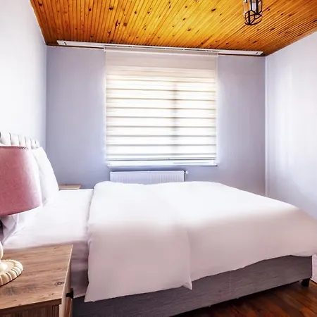 Flat With Balcony Close To Malls In Kagithane *